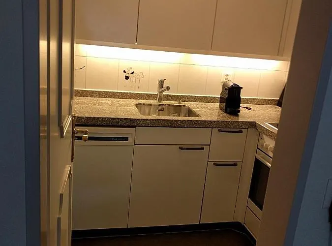 公寓 Holiday Apartment Davos Residence *